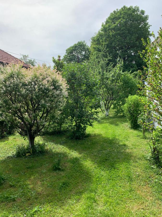 Apartman MirA Saraybosna Dış mekan fotoğraf