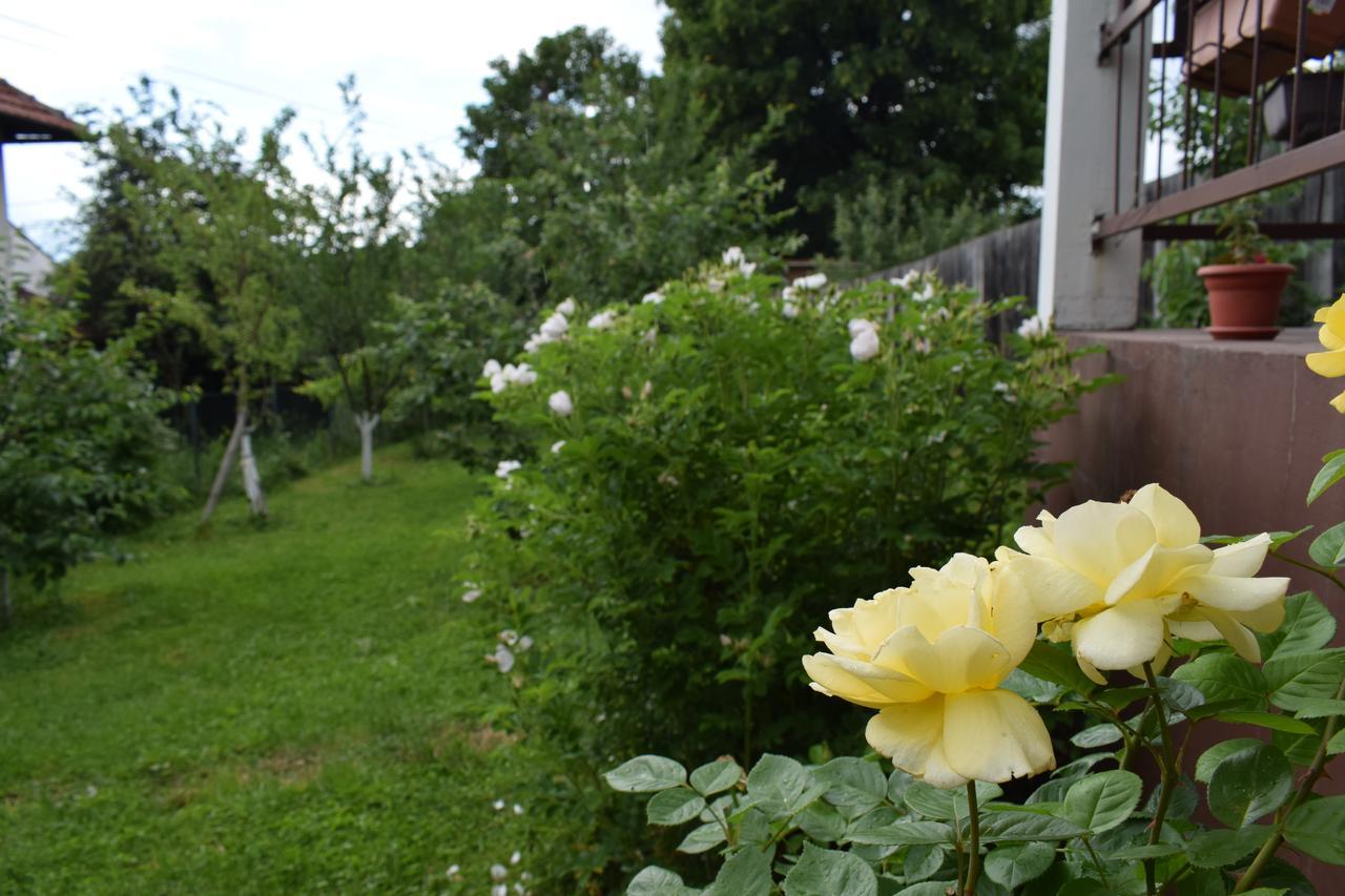 Apartman MirA Saraybosna Dış mekan fotoğraf